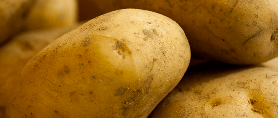 Crema di patate e porri al basilico