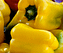 Bucatini ai peperoni gialli - Ricette Al Microonde