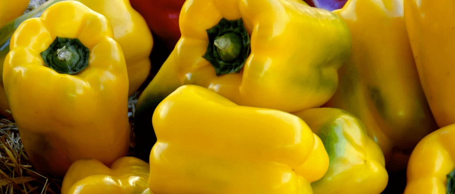 Bucatini ai peperoni gialli - Ricette Al Microonde