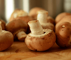 Funghi Stufati - Ricette al microonde